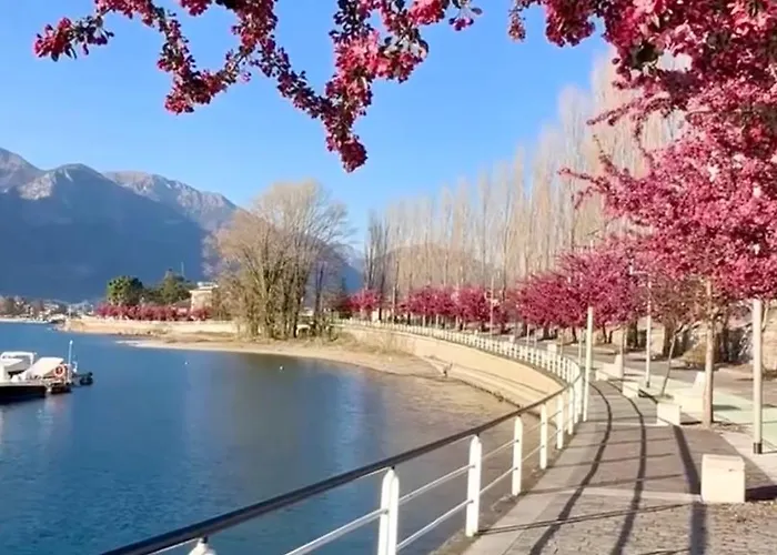 度假居 Casa Fiocco Vista 皮索涅